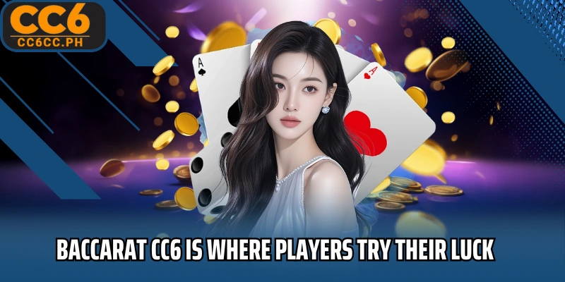 Baccarat CC6 is where players try their luck